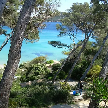 A Pied ! Grand T3 A 150 M Lavandou Pisc Pkg Priv Daire *